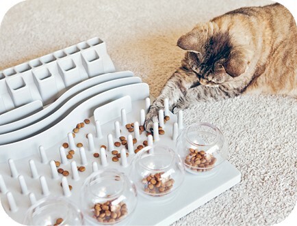 Главная книга владельца кошки - i_198.jpg