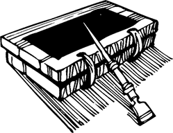 Огненный перст - i_027.png