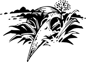 Огненный перст - i_037.png
