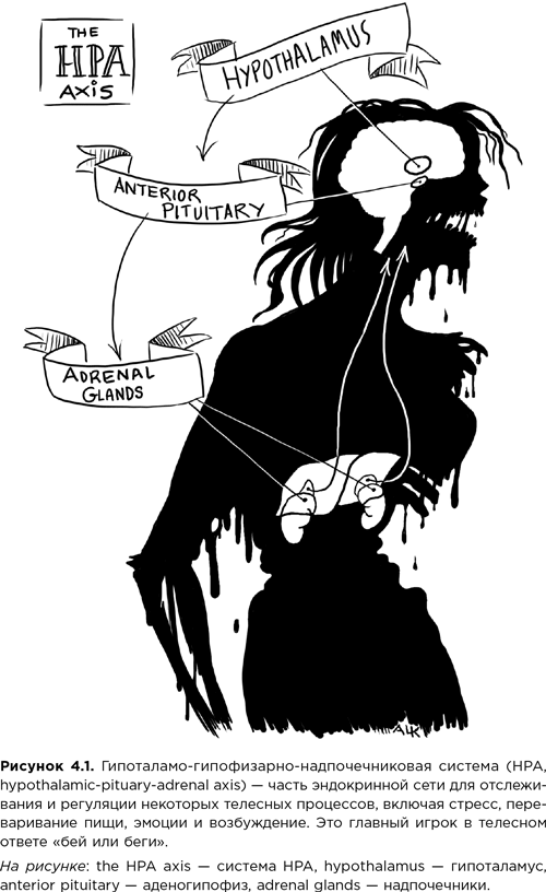 Мозг зомби. Научный подход к поведению ходячих мертвецов - i_011.png