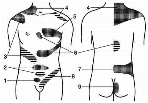 Медицинский массаж. Базовый курс: классическая техника массажа - _54.jpg