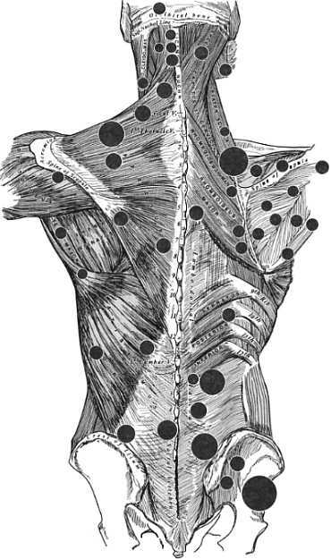 Медицинский массаж. Базовый курс: классическая техника массажа - _55.jpg