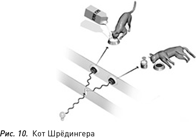 Программируя Вселенную. Квантовый компьютер и будущее науки - i_011.png