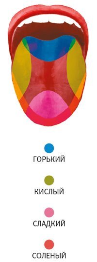 Винология: Записки профессионального гурмана о лучшем из напитков и культуре его потребления - i_022.jpg
