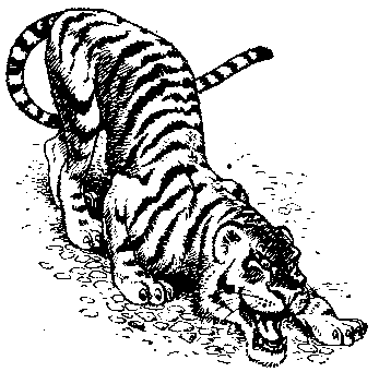 Пеппи Длинныйчулок - pic_20.png