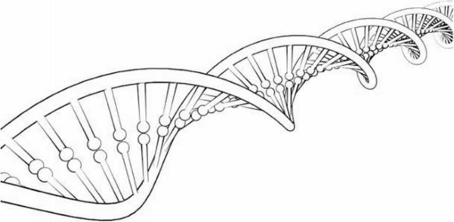 Тайны мозга - i_009.jpg