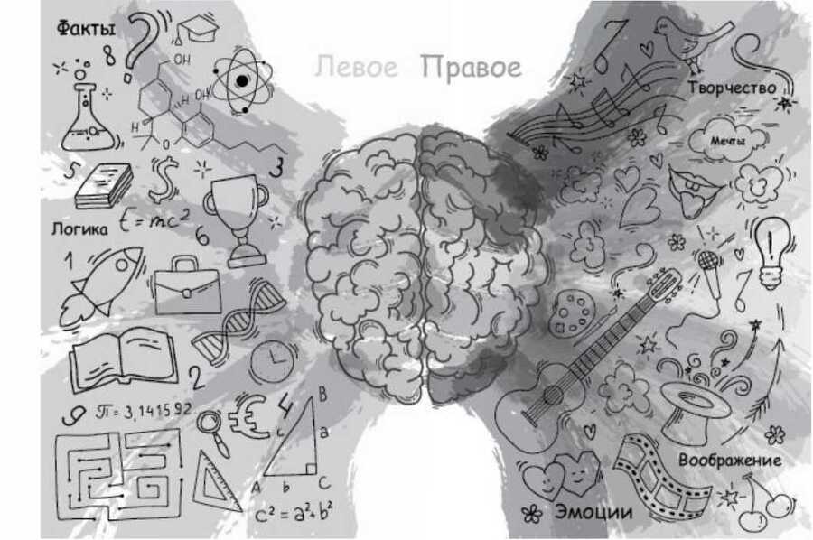 Тайны мозга - i_019.jpg