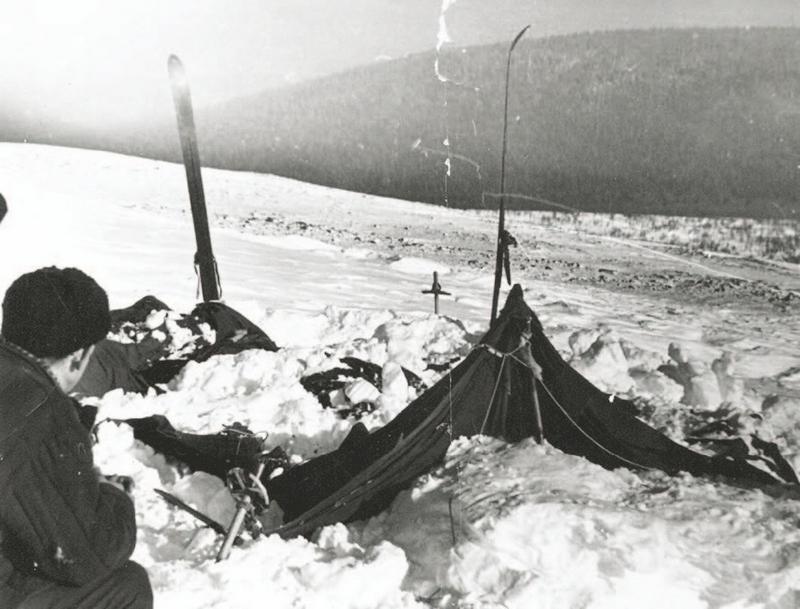 "Перевал Дятлова". Компиляция. Книги 1-9 (СИ) - i_009.jpg