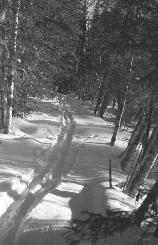 "Перевал Дятлова". Компиляция. Книги 1-9 (СИ) - i_047.jpg