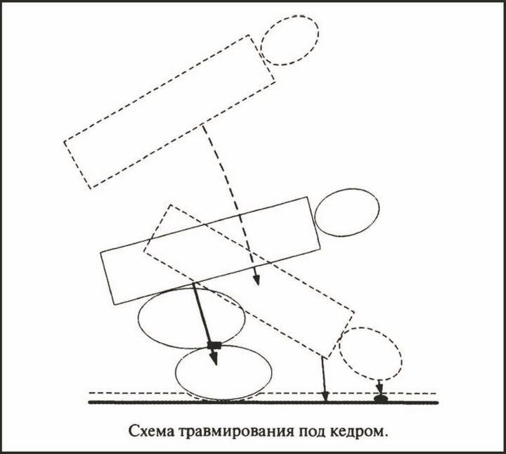 "Перевал Дятлова". Компиляция. Книги 1-9 (СИ) - i_048.jpg