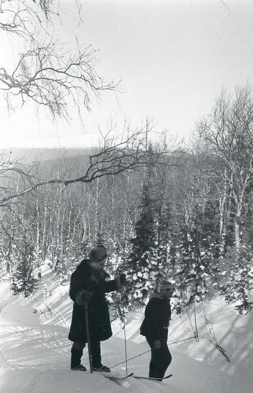 "Перевал Дятлова". Компиляция. Книги 1-9 (СИ) - i_123.jpg