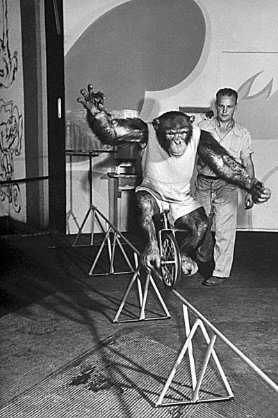 100 великих рекордов транспорта - _17.jpg