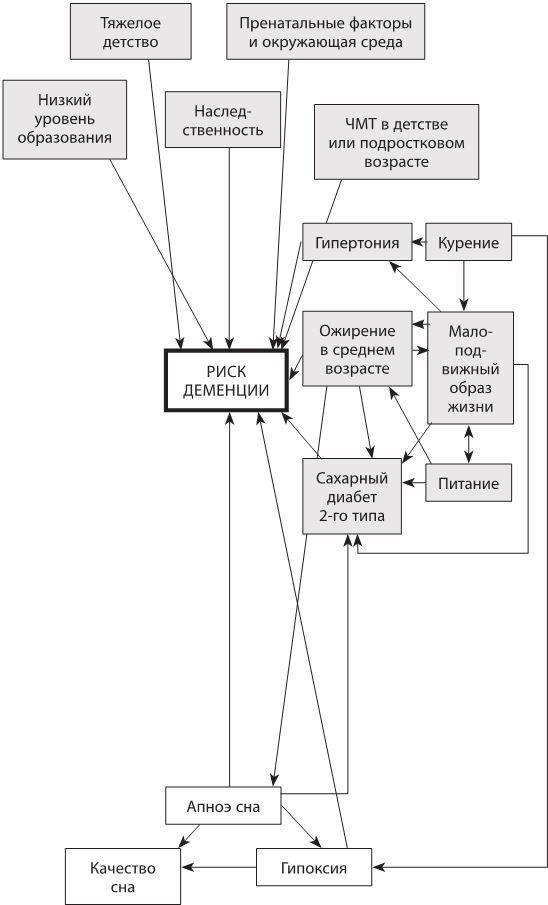 Используйте голову, чтобы спасти мозг. Профилактика деменции в любом возрасте - i_011.jpg