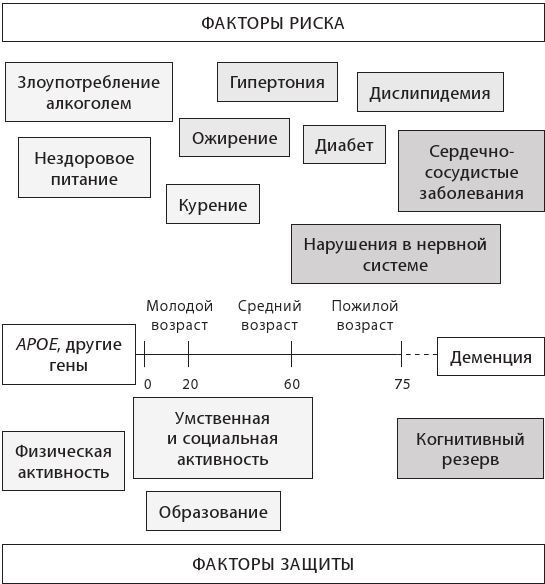 Используйте голову, чтобы спасти мозг. Профилактика деменции в любом возрасте - i_017.jpg