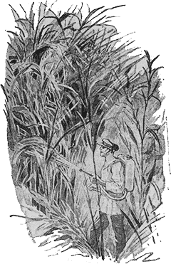 "Мир приключений" 1926г. Компиляция. Книги 1-9 (СИ) - i_198.png