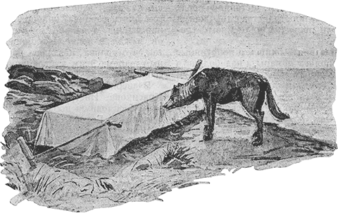 "Мир приключений" 1926г. Компиляция. Книги 1-9 (СИ) - i_199.png