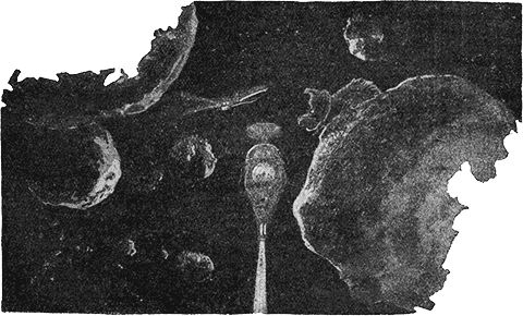 "Мир приключений" 1926г. Компиляция. Книги 1-9 (СИ) - i_253.png