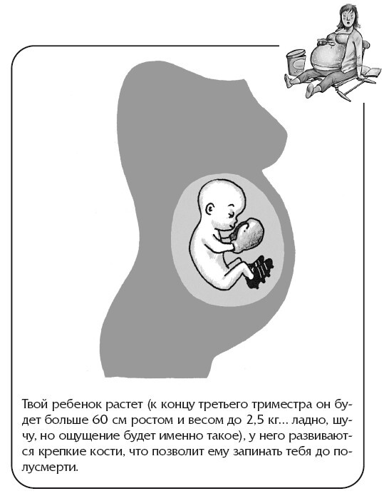 Беременная, муж и баночка анализов. Вредные советы - i_017.jpg