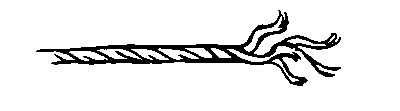 Квадратный корень из лета - i_012.png
