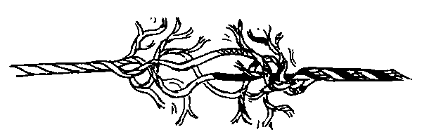 Квадратный корень из лета - i_017.png