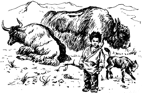 Тигр снегов. Неприкосновенная Канченджанга - i_005.png