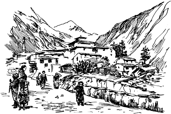 Тигр снегов. Неприкосновенная Канченджанга - i_009.png