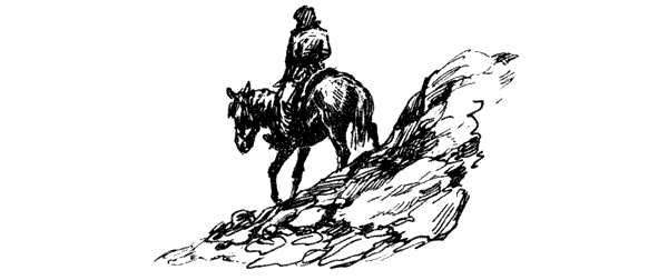 Тигр снегов. Неприкосновенная Канченджанга - i_022.png