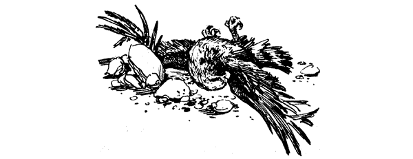 Тигр снегов. Неприкосновенная Канченджанга - i_034.png