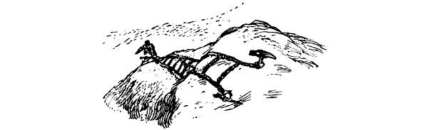 Тигр снегов. Неприкосновенная Канченджанга - i_055.png