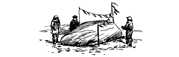 Тигр снегов. Неприкосновенная Канченджанга - i_073.png