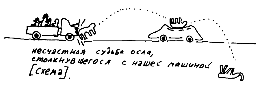 200 дней на юг: автостопом из Москвы в южную Африку - i_091.png