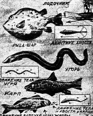 "Мир приключений-3". Компиляция. Книги 1-7 (СИ) - i_207.jpg