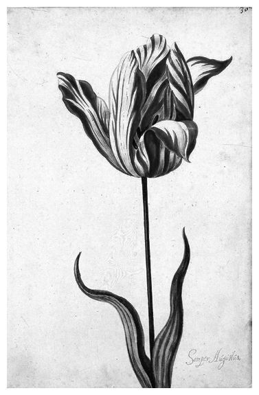 Деньги, рынок, капитал. Краткая история экономики - i_011.jpg