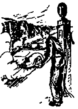 Собрание сочиннений Яна Ларри. Том первый - i_038.png