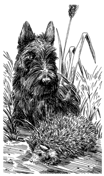 Собрание сочинений Яна Ларри. Том второй - i_102.png