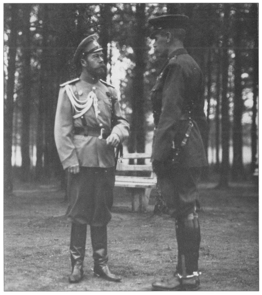 Роль России и Романовых в Великой Войне 1914-1918 гг. - i_007.jpg