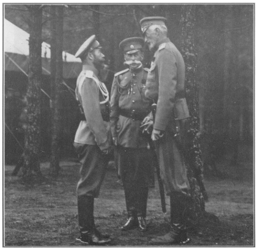 Роль России и Романовых в Великой Войне 1914-1918 гг. - i_008.jpg