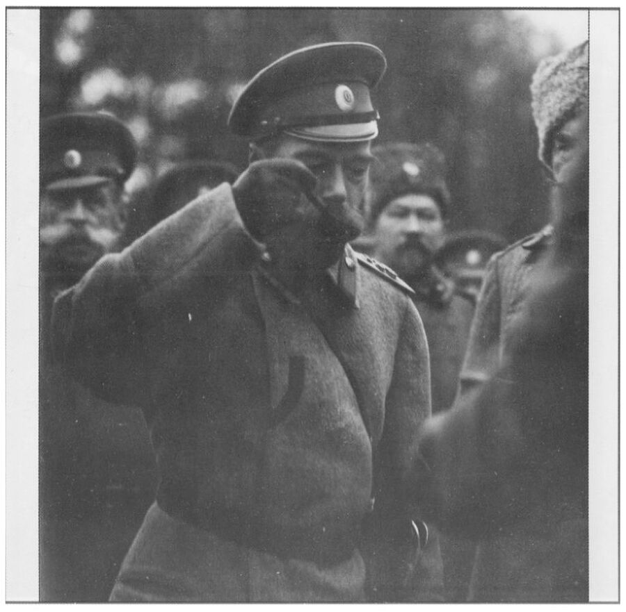 Роль России и Романовых в Великой Войне 1914-1918 гг. - i_020.jpg