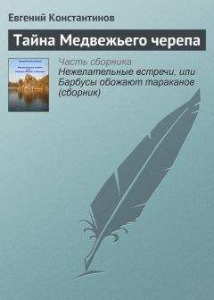 Евгений Константинов - Тайна Медвежьего черепа
